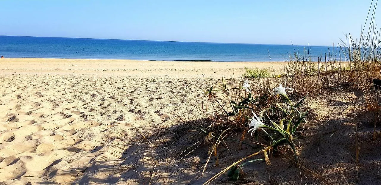 Casa Vacanze Sea-Life Alcamo Marina 0*,