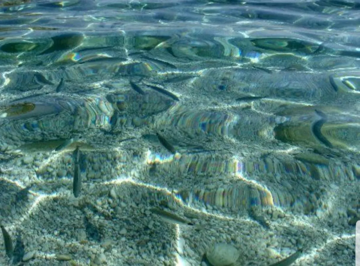 Casa Vacanze Sea-Life Alcamo Marina